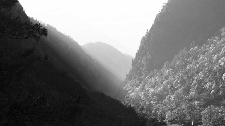 How Does 11Xplay Jackpot Feature Work?